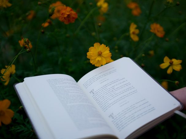 BOEKEN
